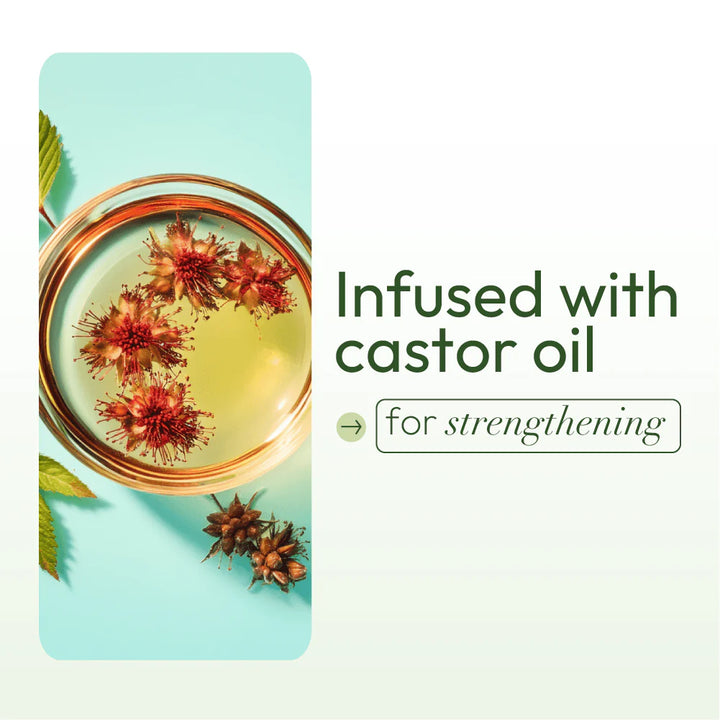 Olive Oil Moisturizing Lotion