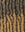 2T1B/27