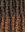 2T1B/30