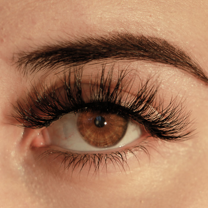 The "LISBON" Lash